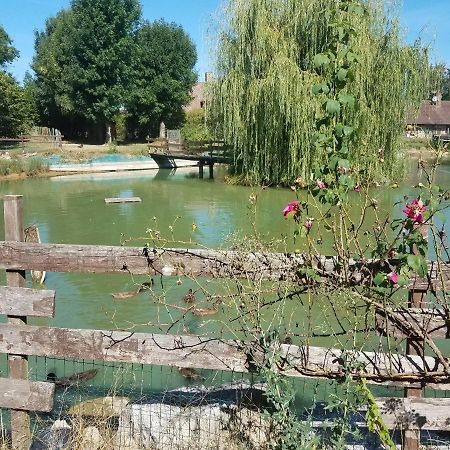 Ferme Bressane Les Arums Mervans Luaran gambar